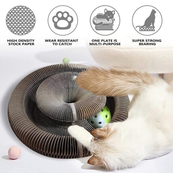 cat scratching board