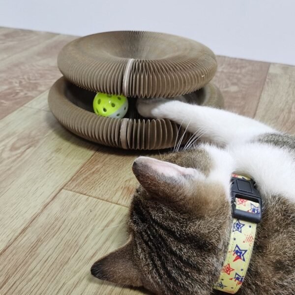 cat scratching board