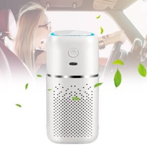 Portable air filter for car